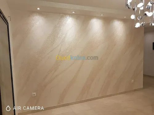 Peintre professionnel