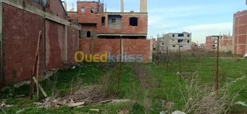 Vente Terrain Blida Ouled selama