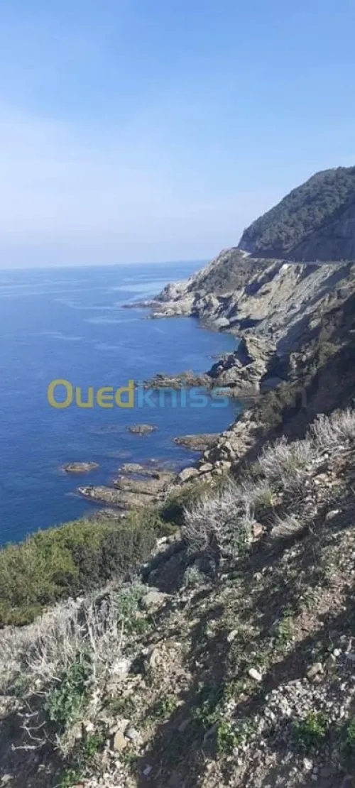 Vente Terrain Chlef Beni haoua