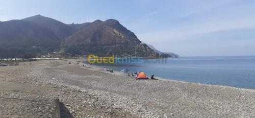 Vente Terrain Chlef Beni haoua