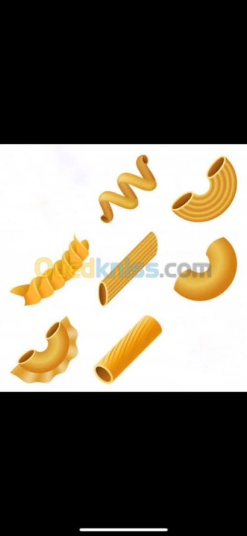 باستي و مول لالت العجائن 