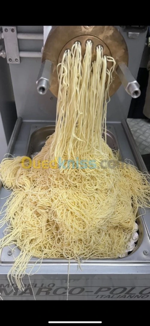 Machine à pâtes extrudeuse MARCO POLO