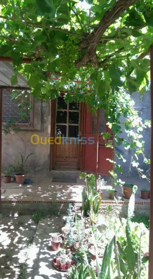 Vente Villa Oran Sidi chami