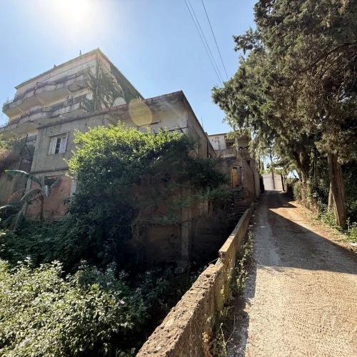 Vente Terrain Alger Bouzareah