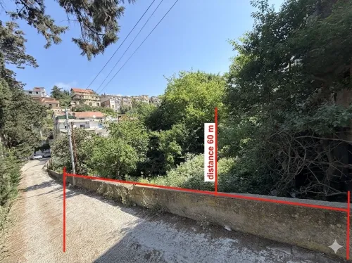 Vente Terrain Alger Bouzareah