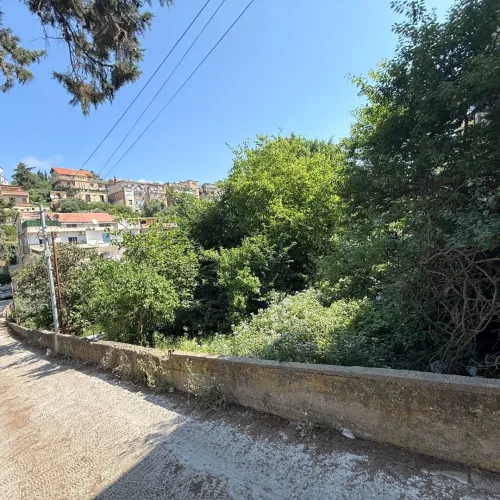 Vente Terrain Alger Bouzareah