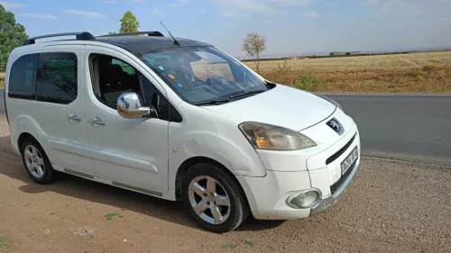 Peugeot Partner 2010 Tepee