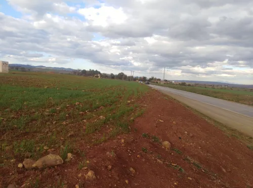 Vente Terrain Agricole Médéa Berrouaghia