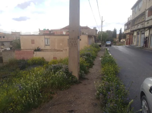 Vente Terrain Médéa Berrouaghia