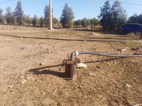Vente Terrain Agricole Djelfa Ain oussara