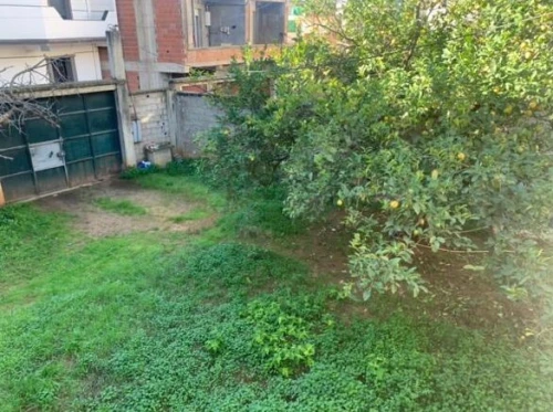 Vente Terrain Alger Birkhadem