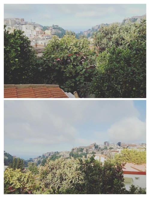 Vente Villa Alger El biar