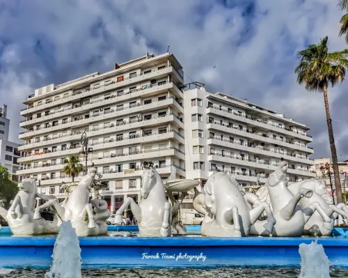 Vente Appartement F3 Alger Alger centre