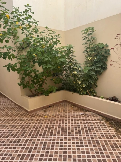 Vente Appartement F4 Alger Birkhadem
