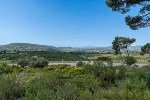 Vente Terrain Alger Les eucalyptus