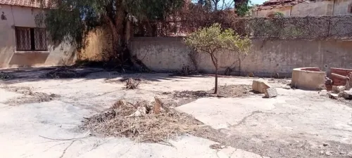 Vente Terrain Aïn Témouchent Chaabet el ham