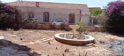 Vente Terrain Aïn Témouchent Chaabet el ham