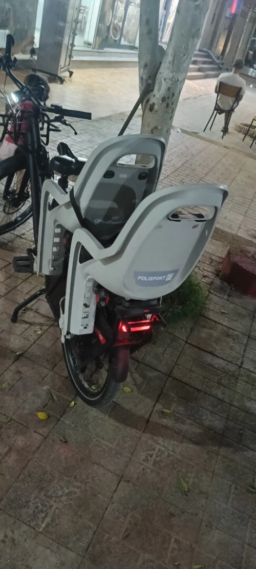 Cargo douze cycle LT1