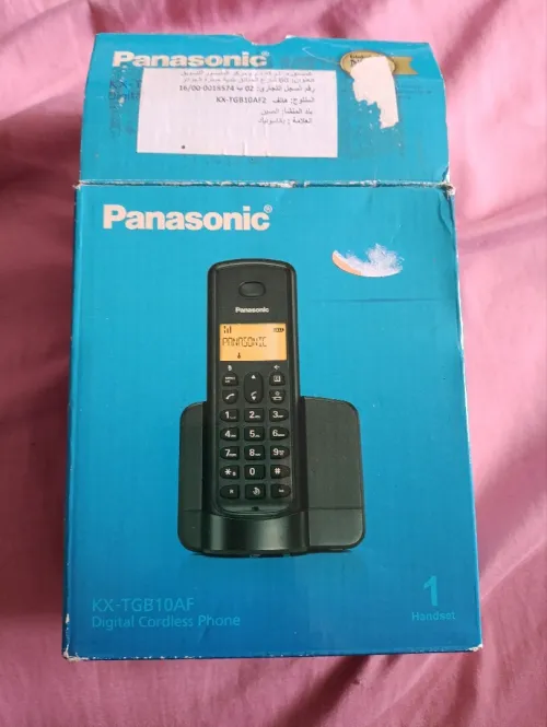 Panasonic