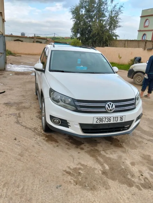 Volkswagen Tiguan 2013 Tiguan