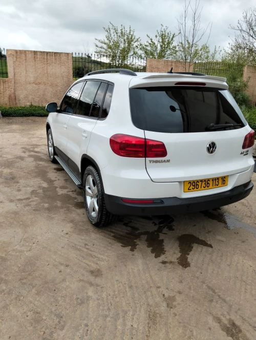 Volkswagen Tiguan 2013 Tiguan