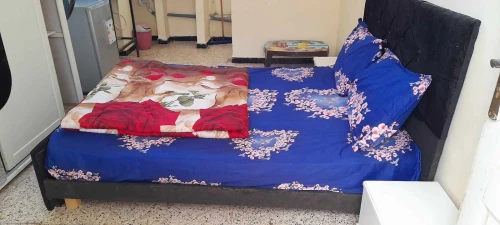 Location Appartement Studio Alger Bab ezzouar