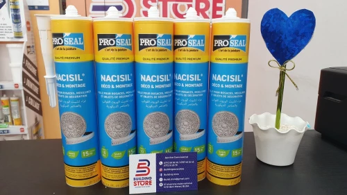 NACISIL DECO MONTAGE