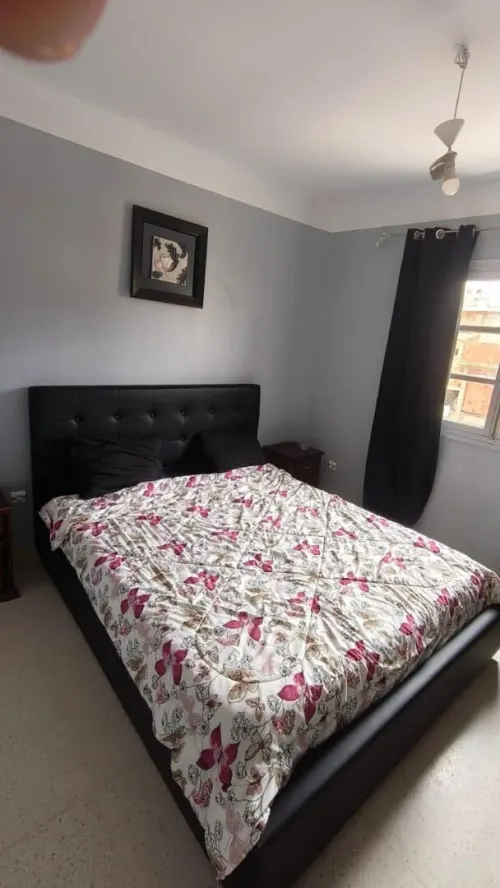 Location Appartement F3 Alger Staoueli