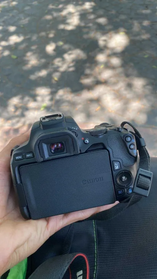 Canon 250D - 1k Clics