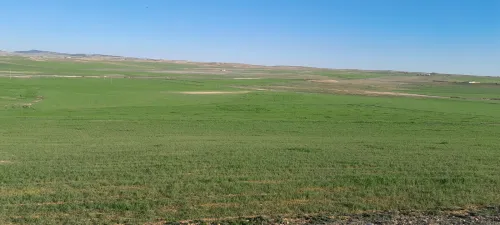 Vente Terrain Agricole Oum El Bouaghi Berriche