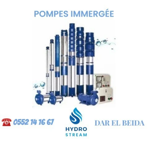 POMPE IMMERGÉE VERTICAL HORIZONTAL PUMP SUBMERSIBLE VIDE CAVE VIDE FOSSE POMPE ITALY NORLY INOX TURBINE PUITS FORAGE مضخة بومبة فوراج