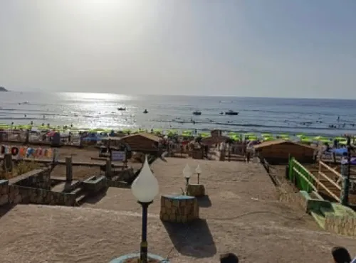 Vente Terrain Jijel El aouana