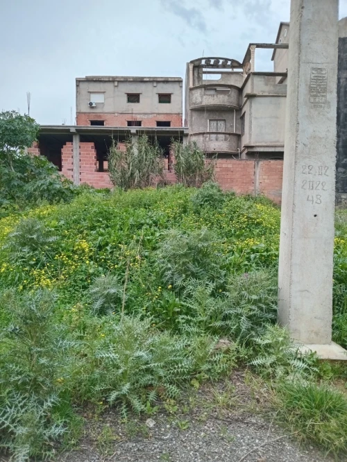 Vente Terrain Boumerdès Ouled moussa