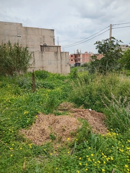 Vente Terrain Boumerdès Ouled moussa