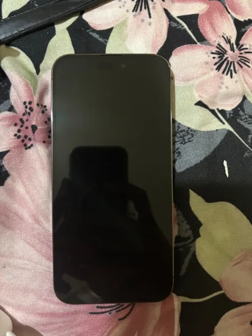 Iphon 14 pro max