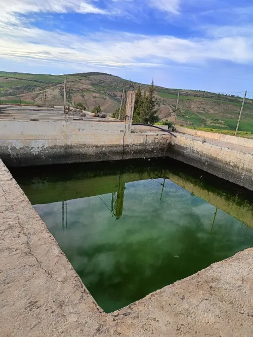 Vente Terrain Aïn Témouchent Ain kihal