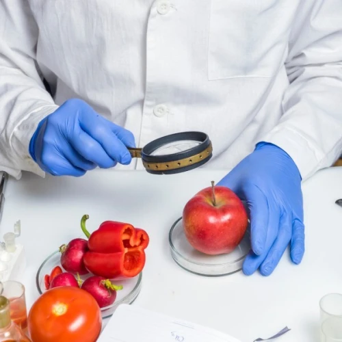 Formation HACCP pour Hôtels, Catering & Agroalimentaire