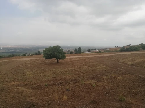 Vente Terrain Blida Larbaa