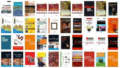 Nos Offres Exceptionnelles sur des E-books Rares et Recherchés