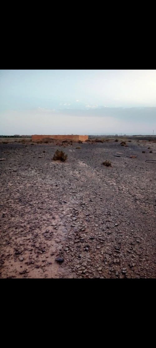 Vente Terrain Agricole Laghouat Tadjemout