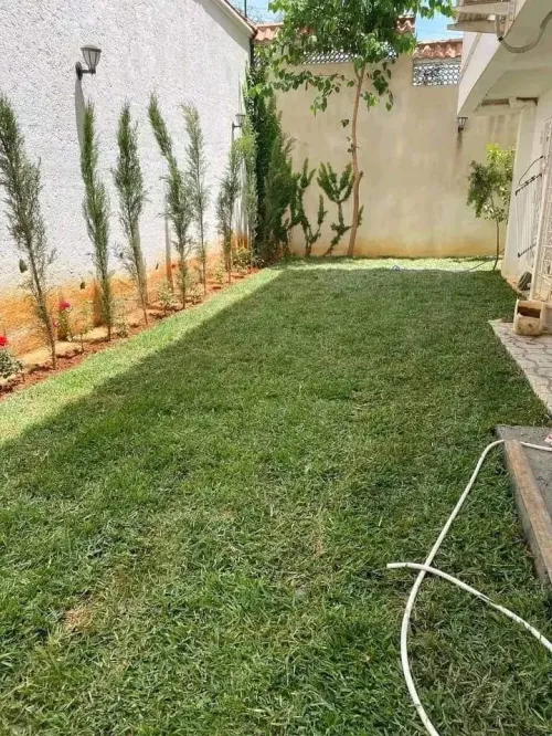 Gazon naturel عشب طبيعي 