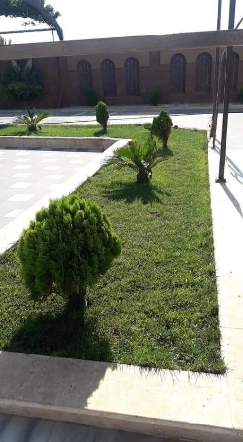 Gazon naturel عشب طبيعي 