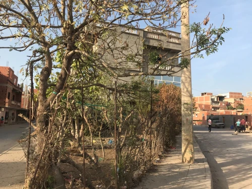 Vente Villa Guelma Heliopolis