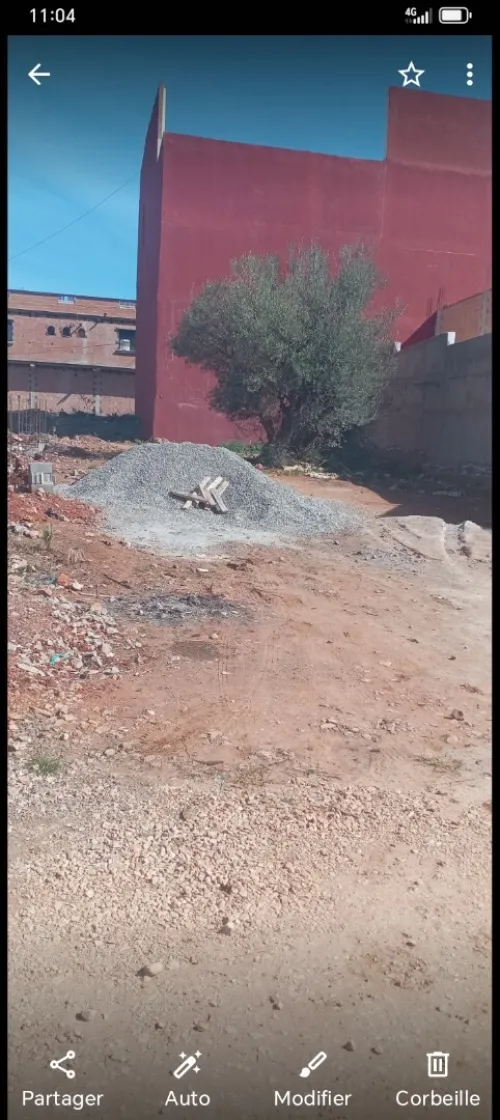 Vente Terrain Tlemcen Tlemcen