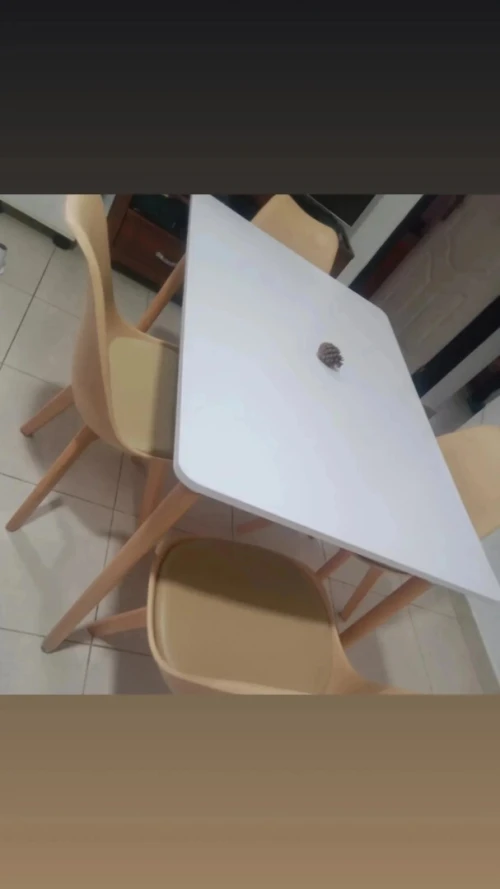 Promotion Chaise tulipe  plusieurs couleurs 