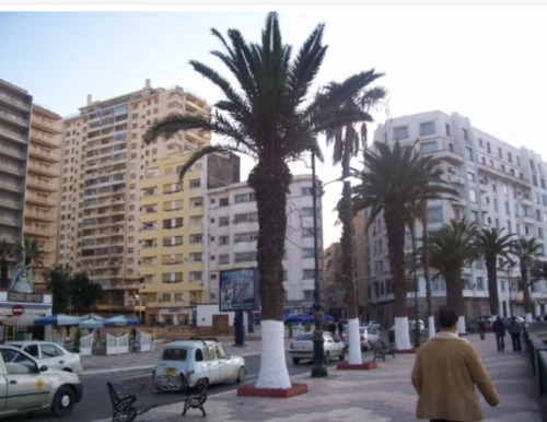 Vente Studio Oran Oran