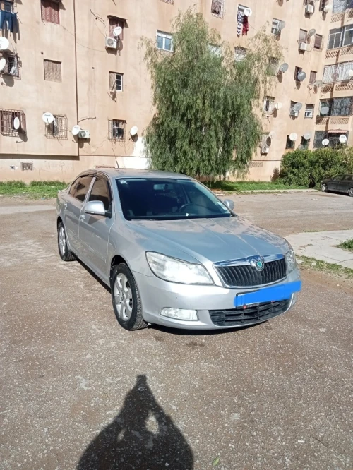 Skoda Octavia 2010 Octavia