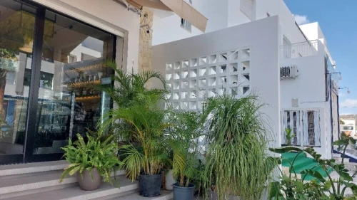 Pierre ou claustra .brise vue .حجر.ديكور .facade
