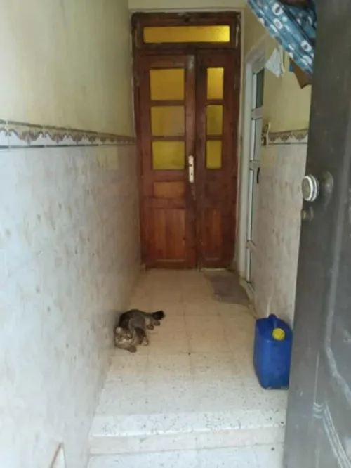 Vente Appartement F3 Ghardaïa Ghardaia