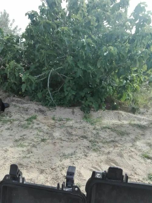 البحث و التنقيب عن المياه الجوفية